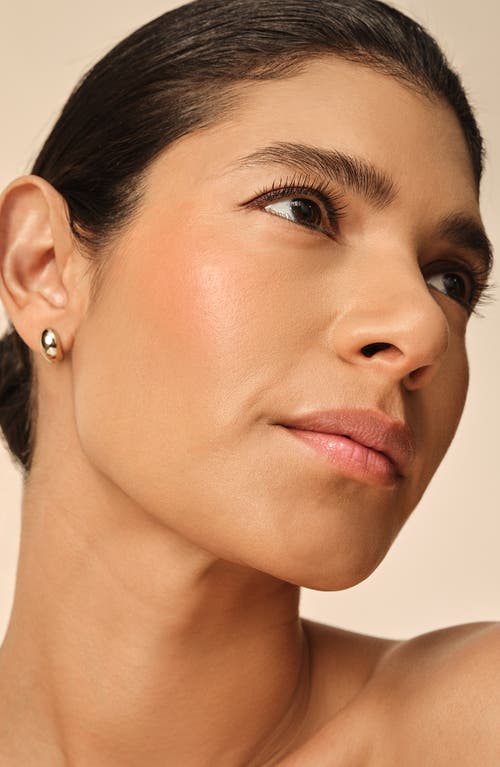 Chantecaille Brilliant Gloss Lip Gloss