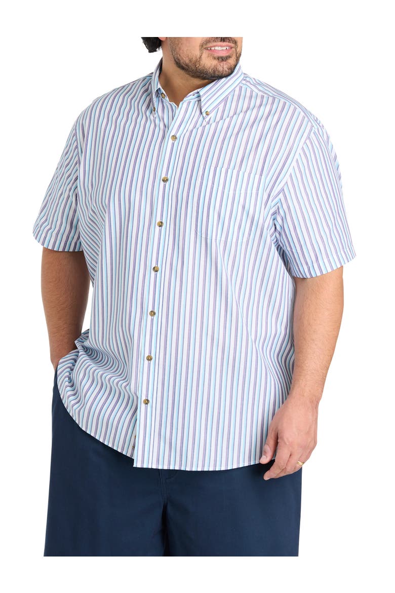 Big & Tall Easy-Care Striped Sport Shirt V2, Main, color, MULTI