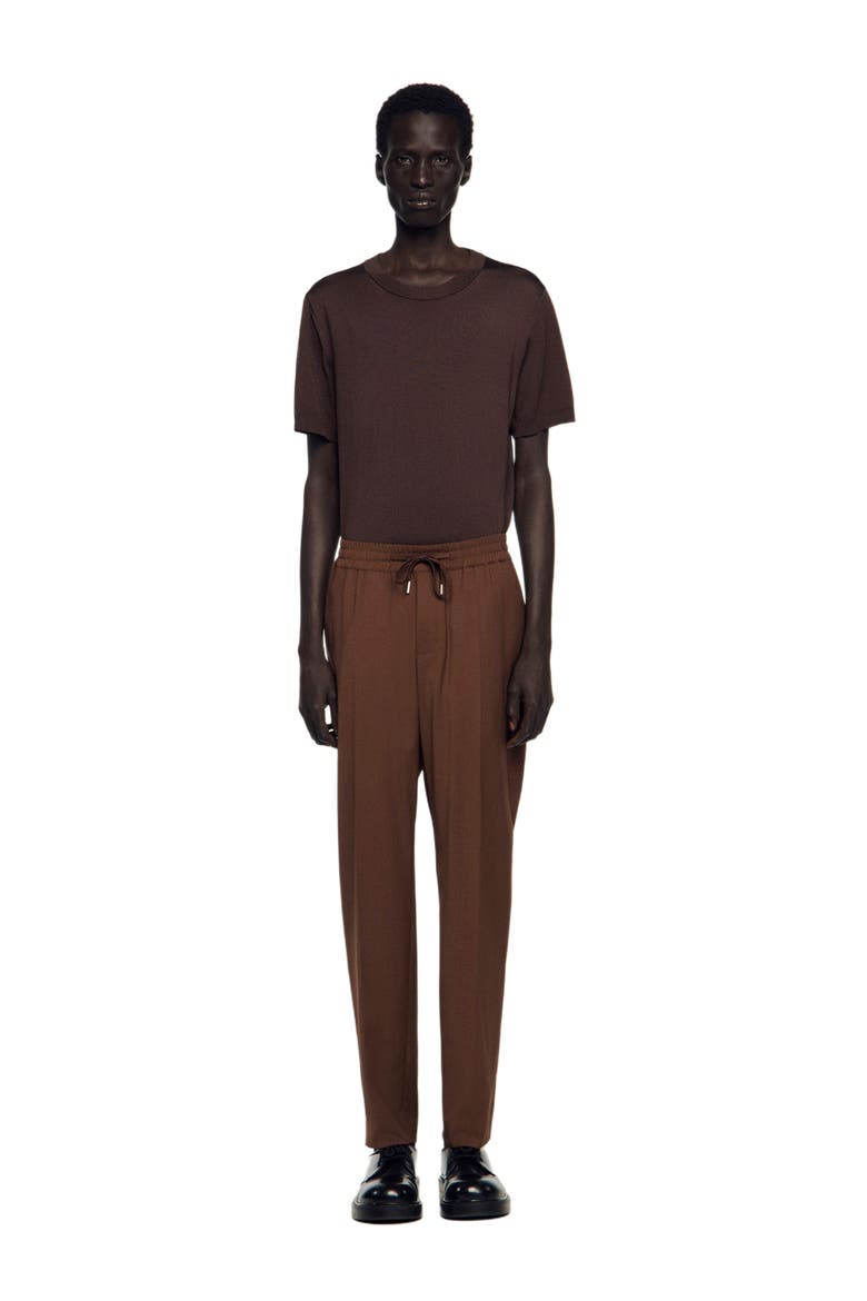 Elasticated straight-leg trousers, Alternate, color, Chocolate