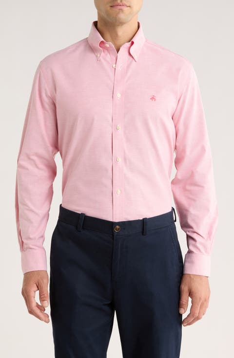 Regular Fit Solid Stretch Cotton Button-Down Shirt