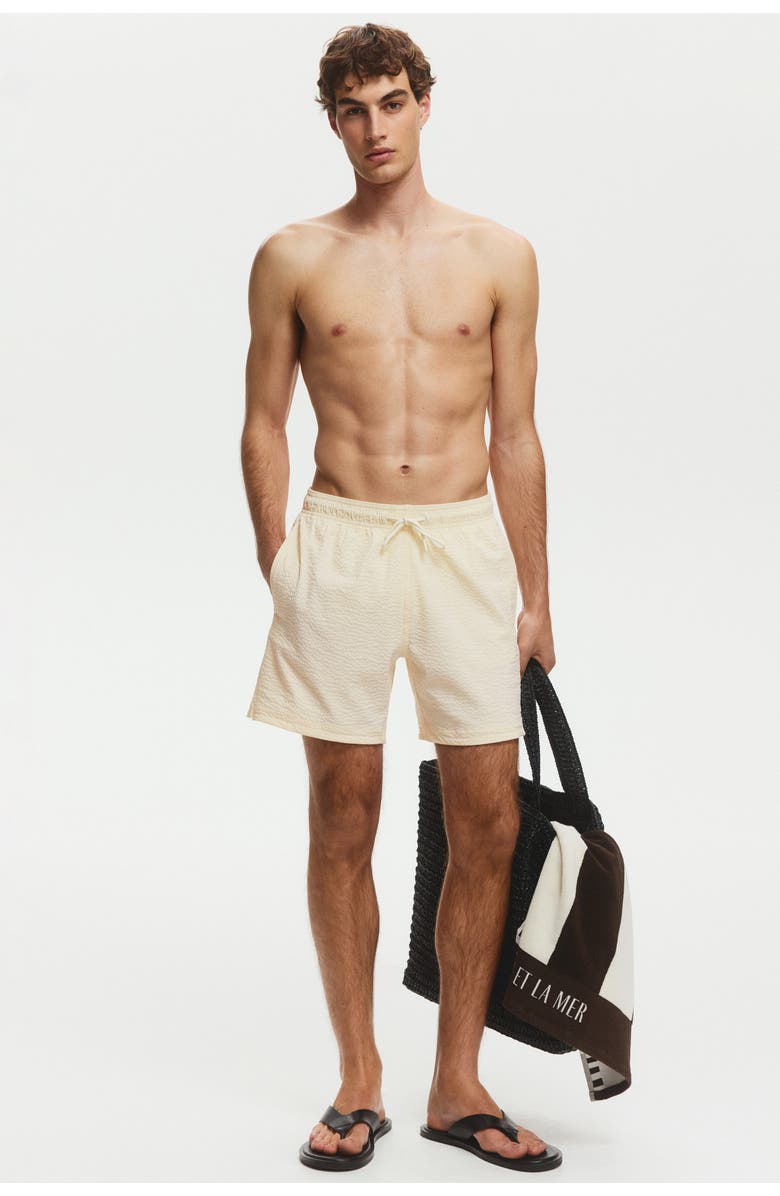 H&M Seersucker Swim Shorts, Alternate, color, Cream