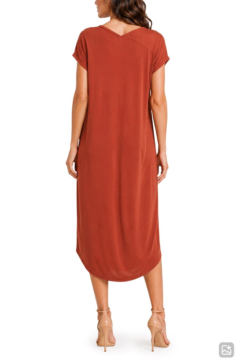 Barcelona Tunic Midi Dress, Alternate, color, BRANDY BROWN