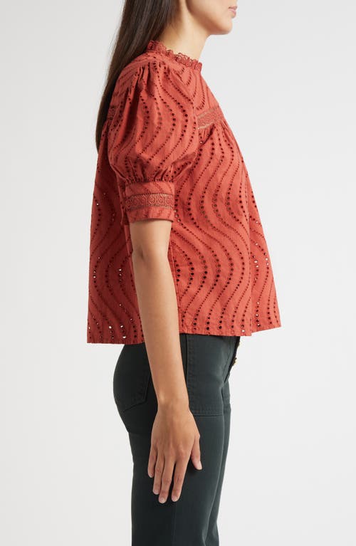 Ulla Johnson Virginia Lace Collar Puff Sleeve Top In Brown