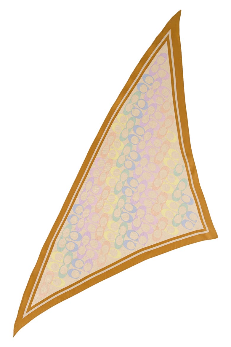 Rainbow Signature C Silk Scarf, Alternate, color, BEIGE MULTI