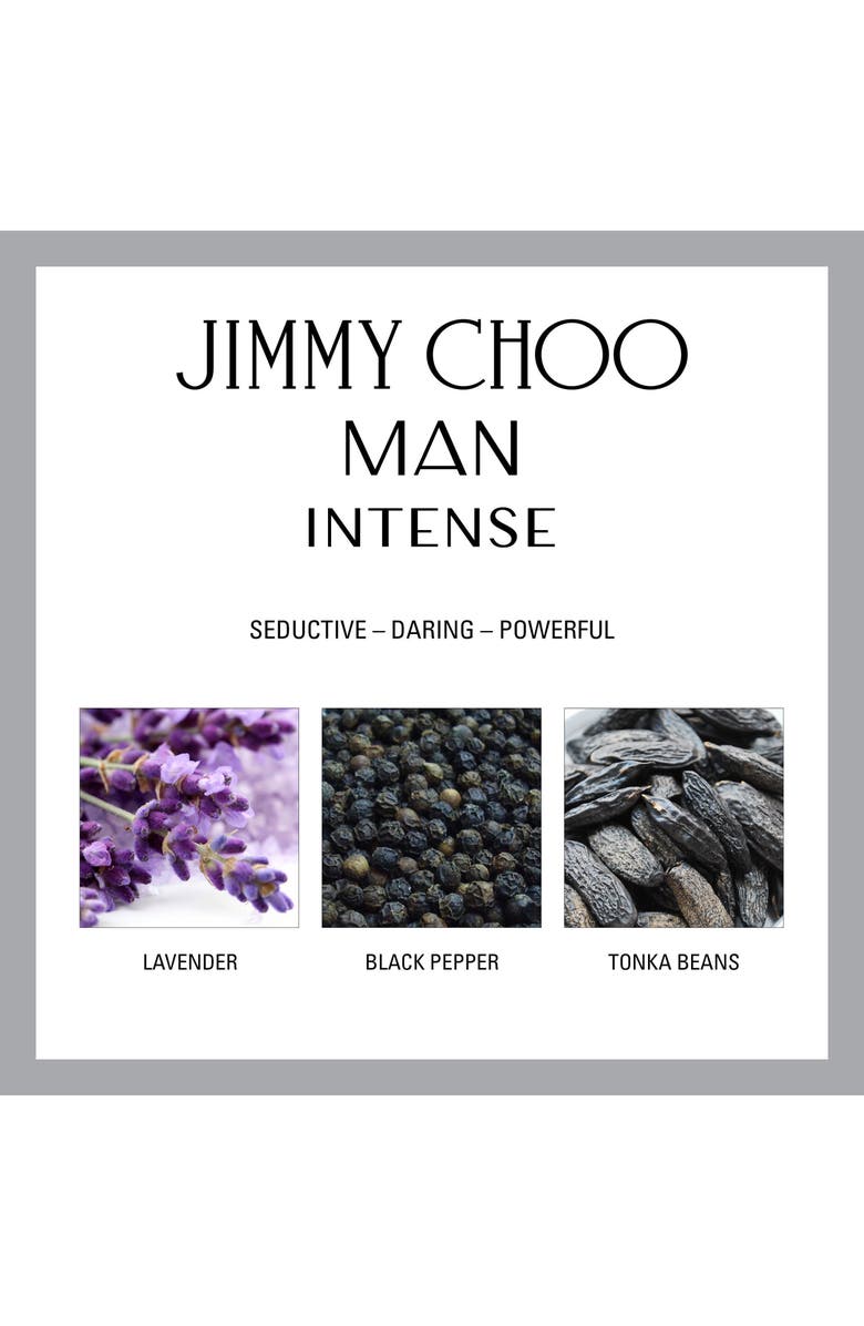 Jimmy Choo Man Intense Eau de Toilette, Alternate, color,