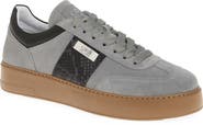 Roberto Cavalli Low Top Sneaker