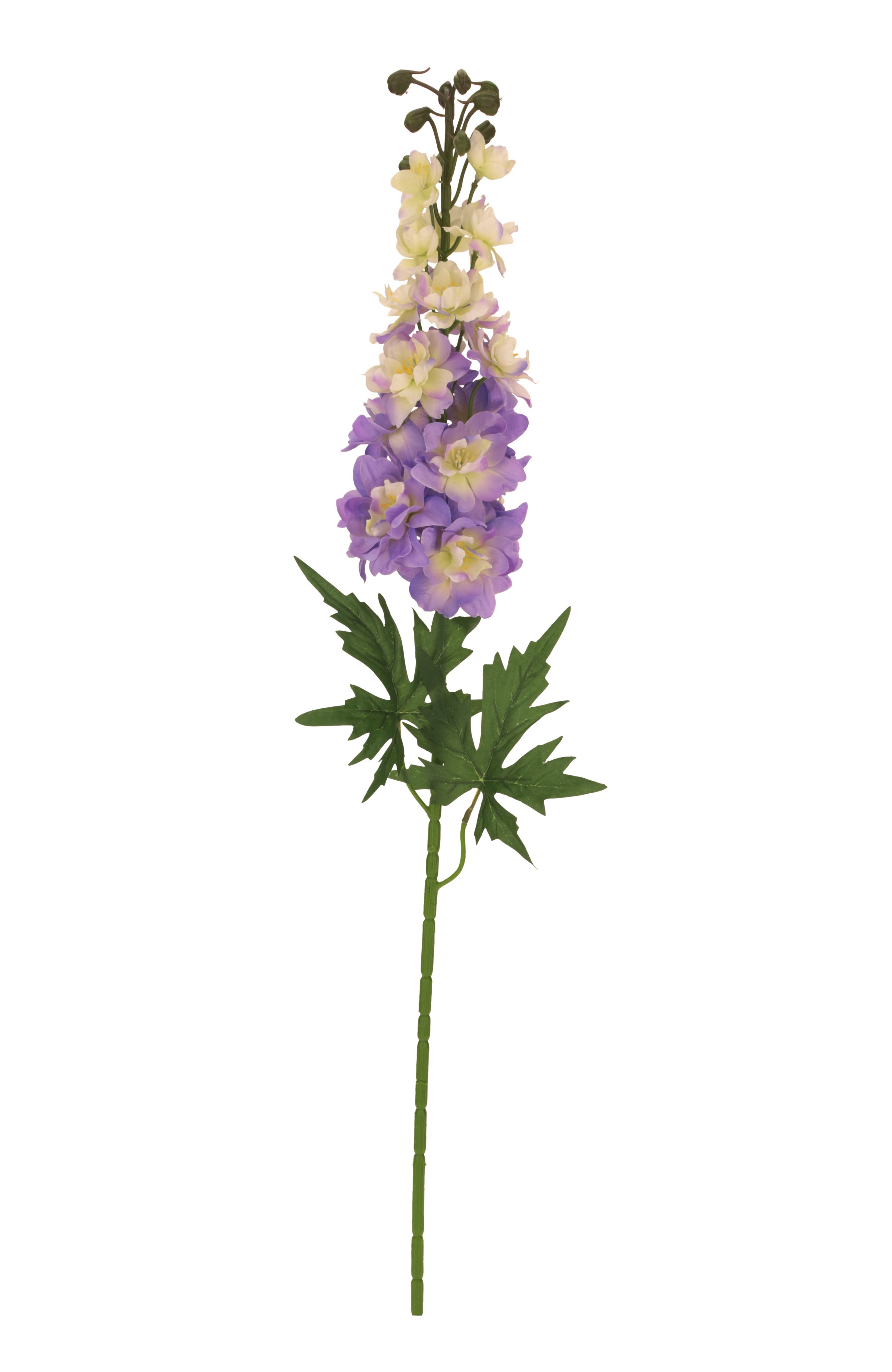selected Lilac
