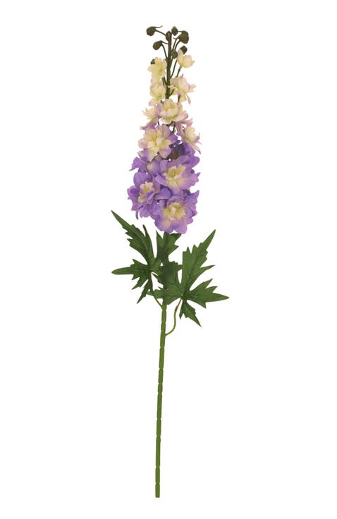Delphinium Stem,  Set of 12