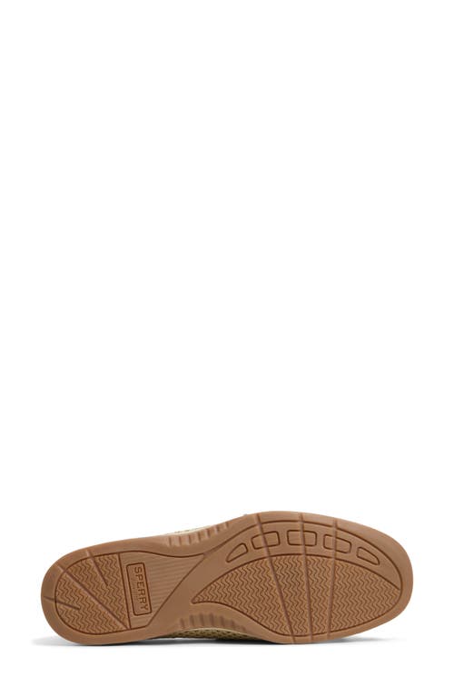 Sperry Angelfish Loafer