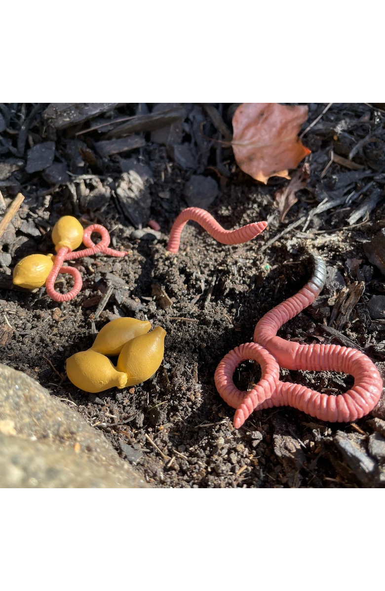 Safari Ltd. Life Cycle Of A Worm, Alternate, color, NO COLOR