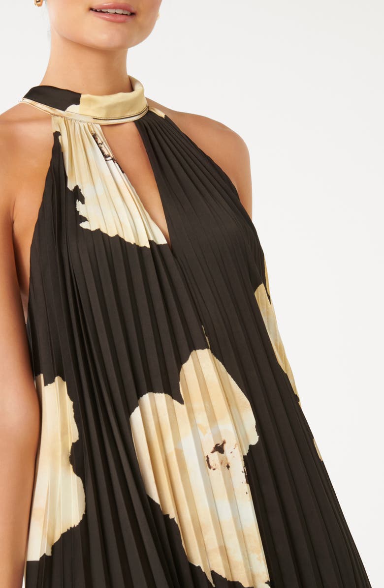 Ever New Saylor Floral Pleated Maxi Dress, Alternate, color, 