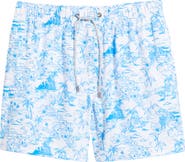 Vintage Summer Volley Swim Trunks