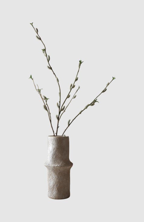 Brown Willow Bud Branch
