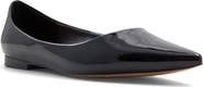 ALDO Stessy Pointed Toe Flat
