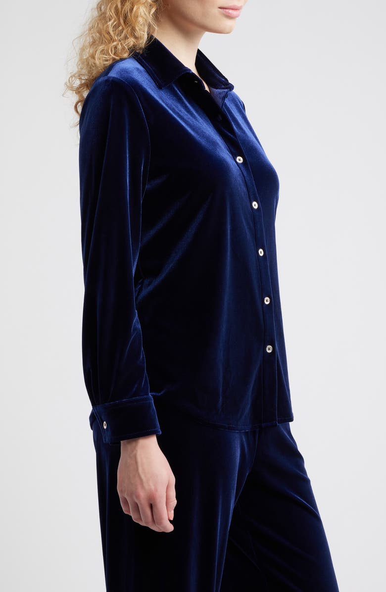 AK ANNE KLEIN Long Sleeve Velvet Button-Up Shirt, Alternate, color, 