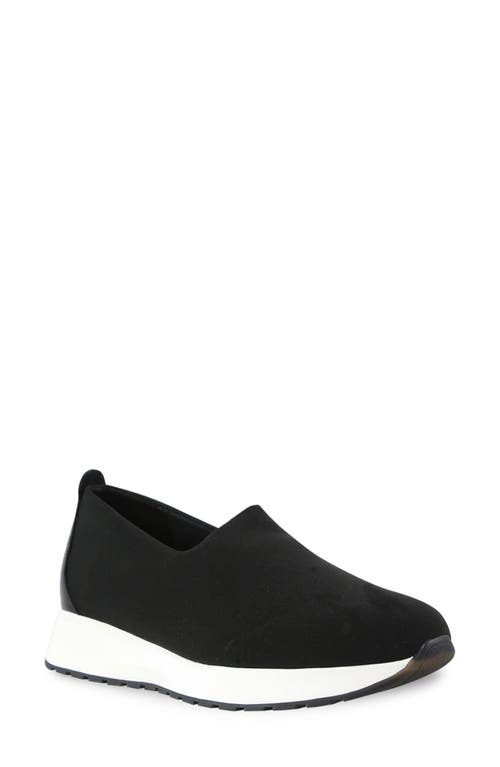 Munro Mackenna Slip-On Sneaker in Black Comb 