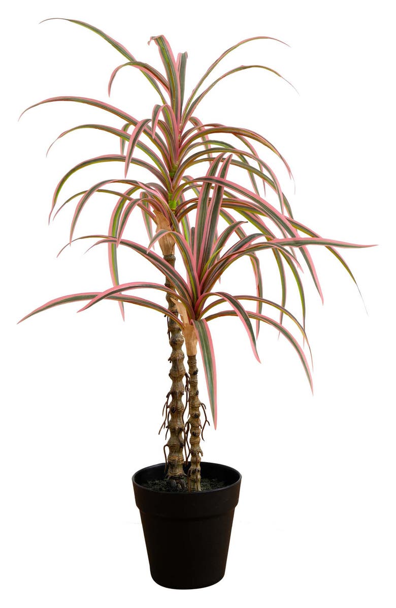 NEARLY NATURAL 2-Feet Artificial Dracaena Marginata Plant, Main, color,