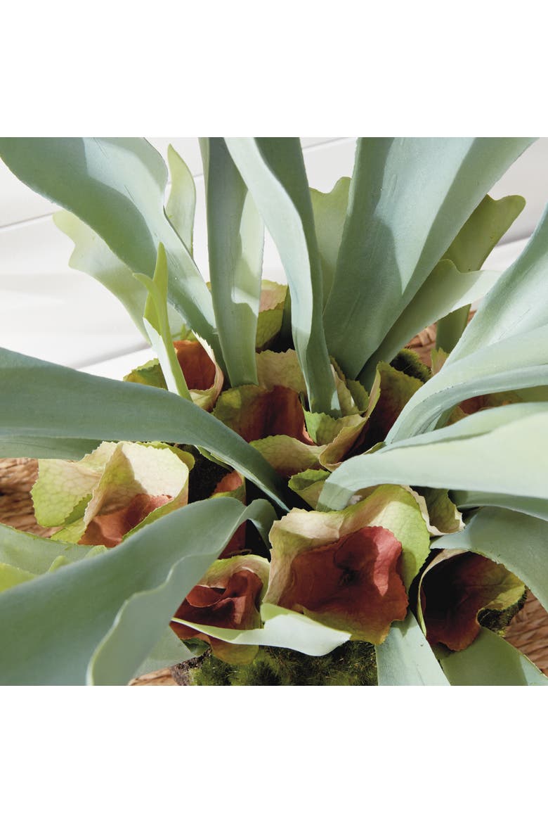 Staghorn Fern Drop-In 21", Alternate, color, Green