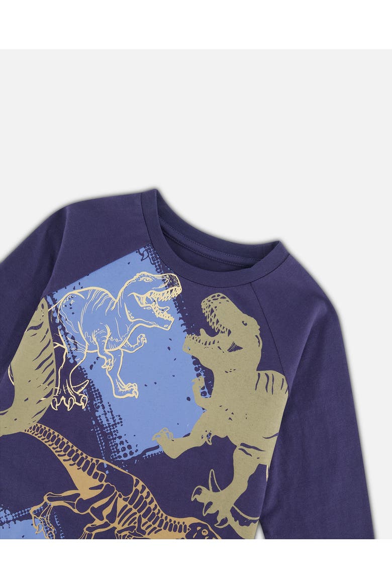 Boy's Raglan T-Shirt With Dinosaure Print Navy, Alternate, color, Peacoat