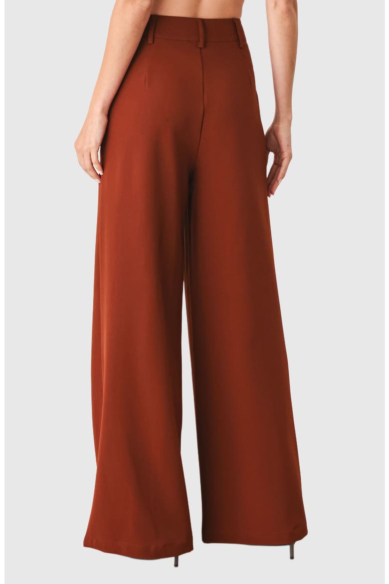 Wide Leg Career Pants, Alternate, color, RUST