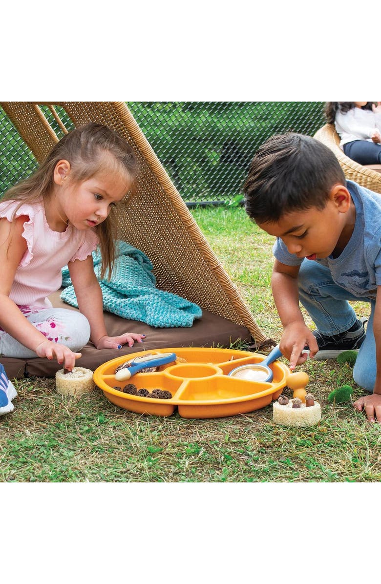 Kaplan Early Learning Company Loose Parts Sorting Trays - Set of 4 - Earth-toned, Alternate, color, Earth-Toned