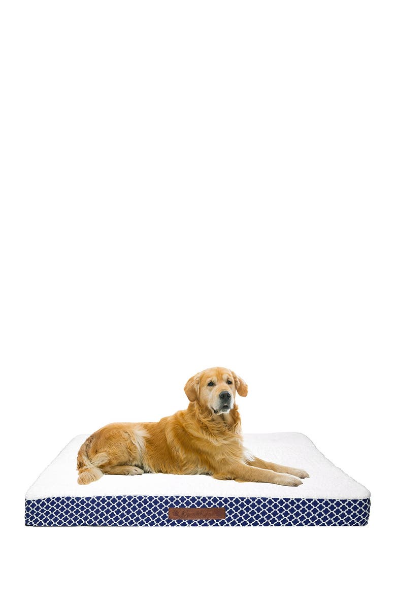 Duck River Textile Cezebel Trellis Jumbo Orthopedic Memory Foam Pet Bed, Main, color, 