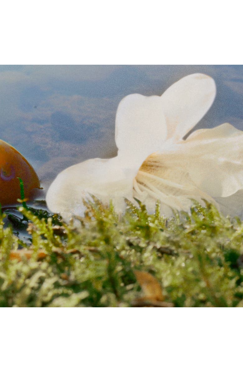 Chloé Nomade Eau de Parfum, Alternate, color,