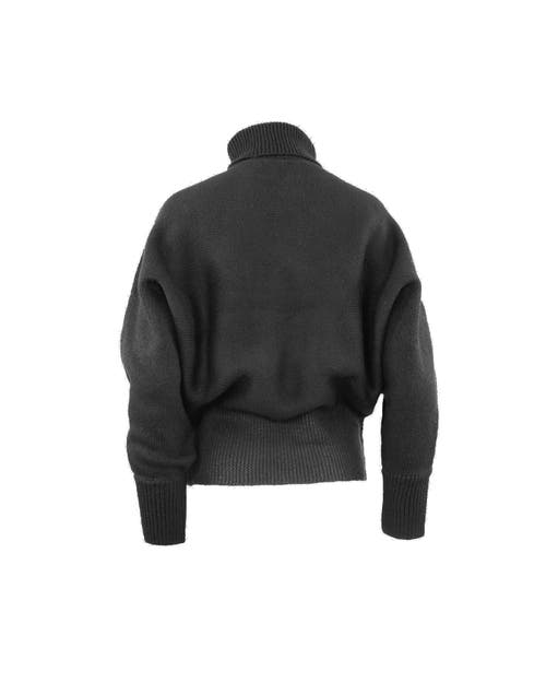 Theo The Label Pallas Dolman High-rib Turtleneck In Black