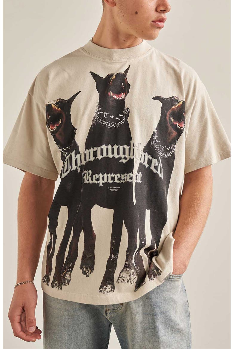 Thoroughbred Oversize Cotton Graphic T-Shirt, Main, color, VINTAGE WHITE