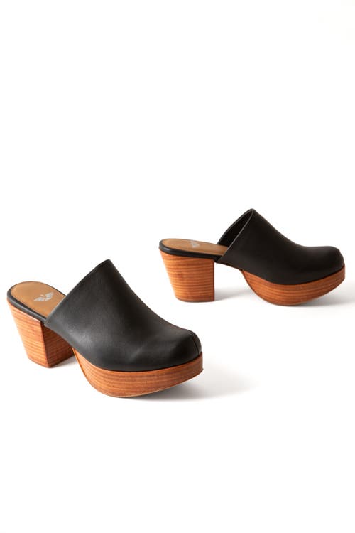 Fortress Ava Leather Clog Mule In Black