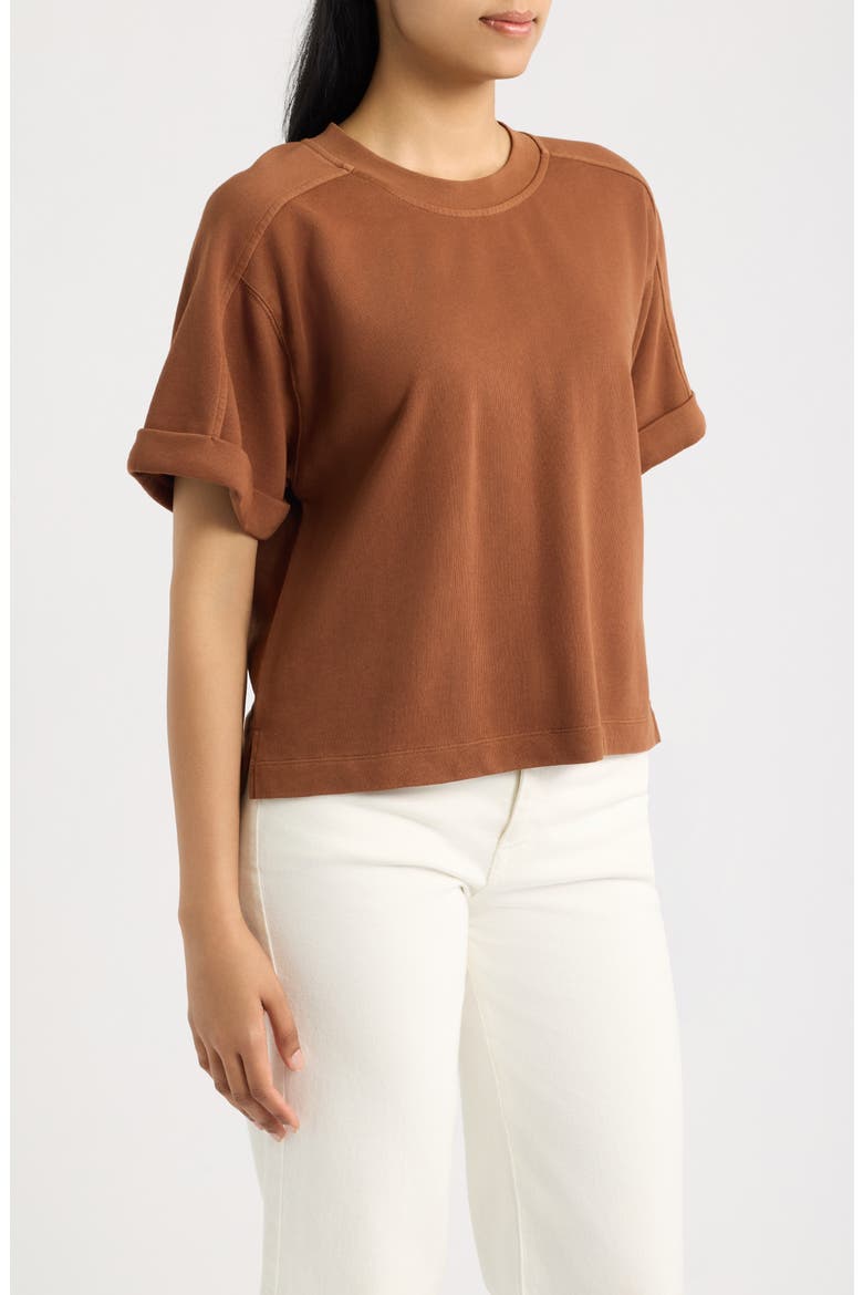 Brie Boxy Short Sleeve Sweatshirt, Alternate, color, TAWNY