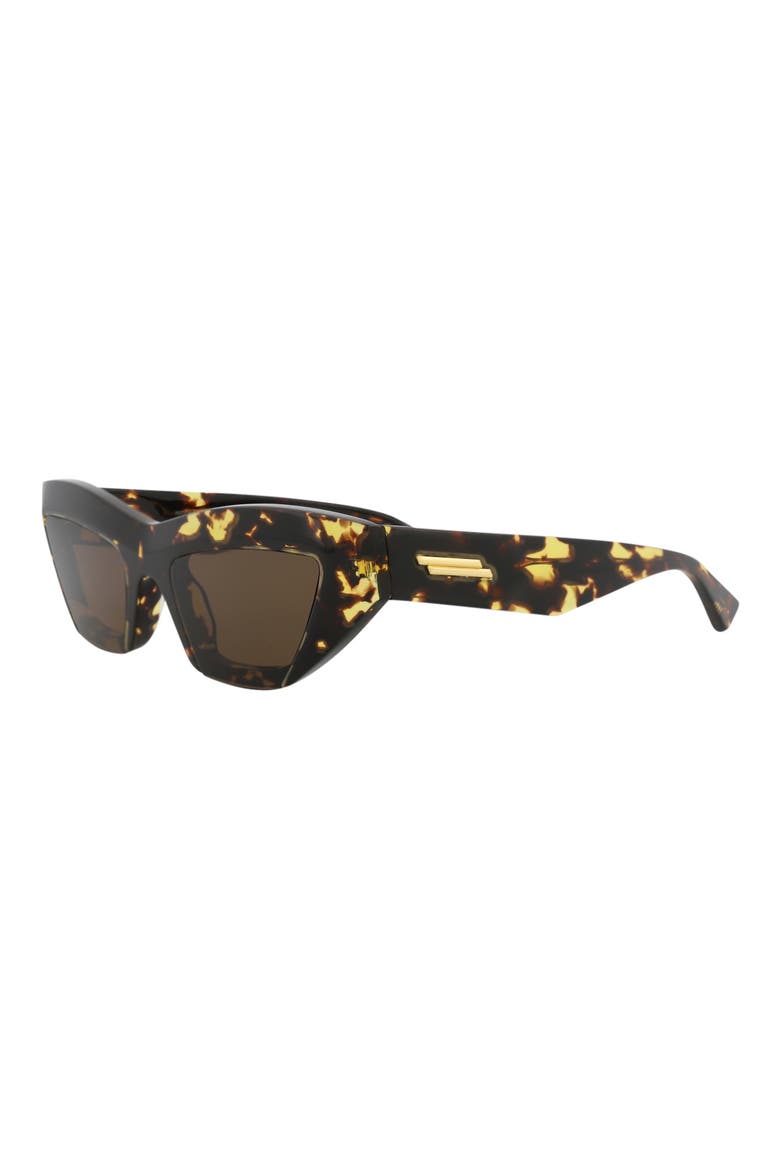 53mm Cat Eye Sunglasses, Alternate, color, HAVANA HAVANA BROWN
