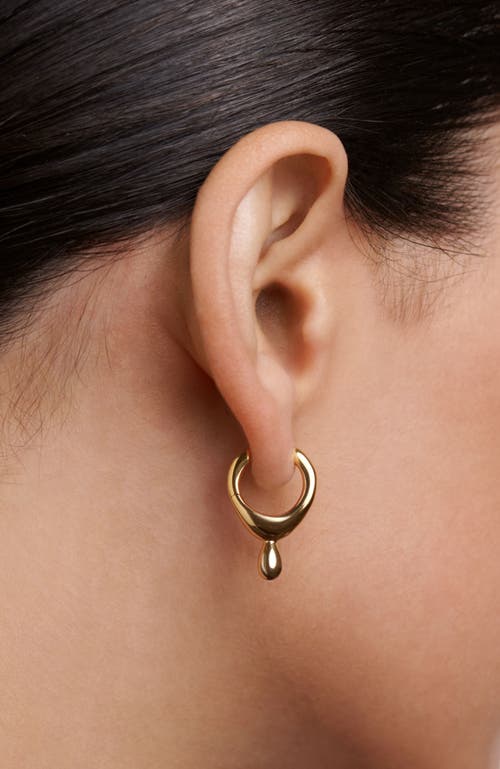 Pdpaola Lava Hoops In Gold