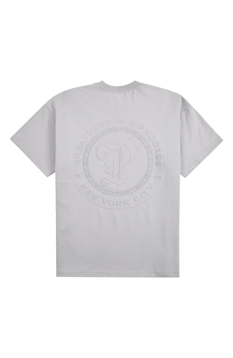 PAPER PLANES Planest Terry Washed Graphic T-Shirt, Alternate, color, Washed Grey