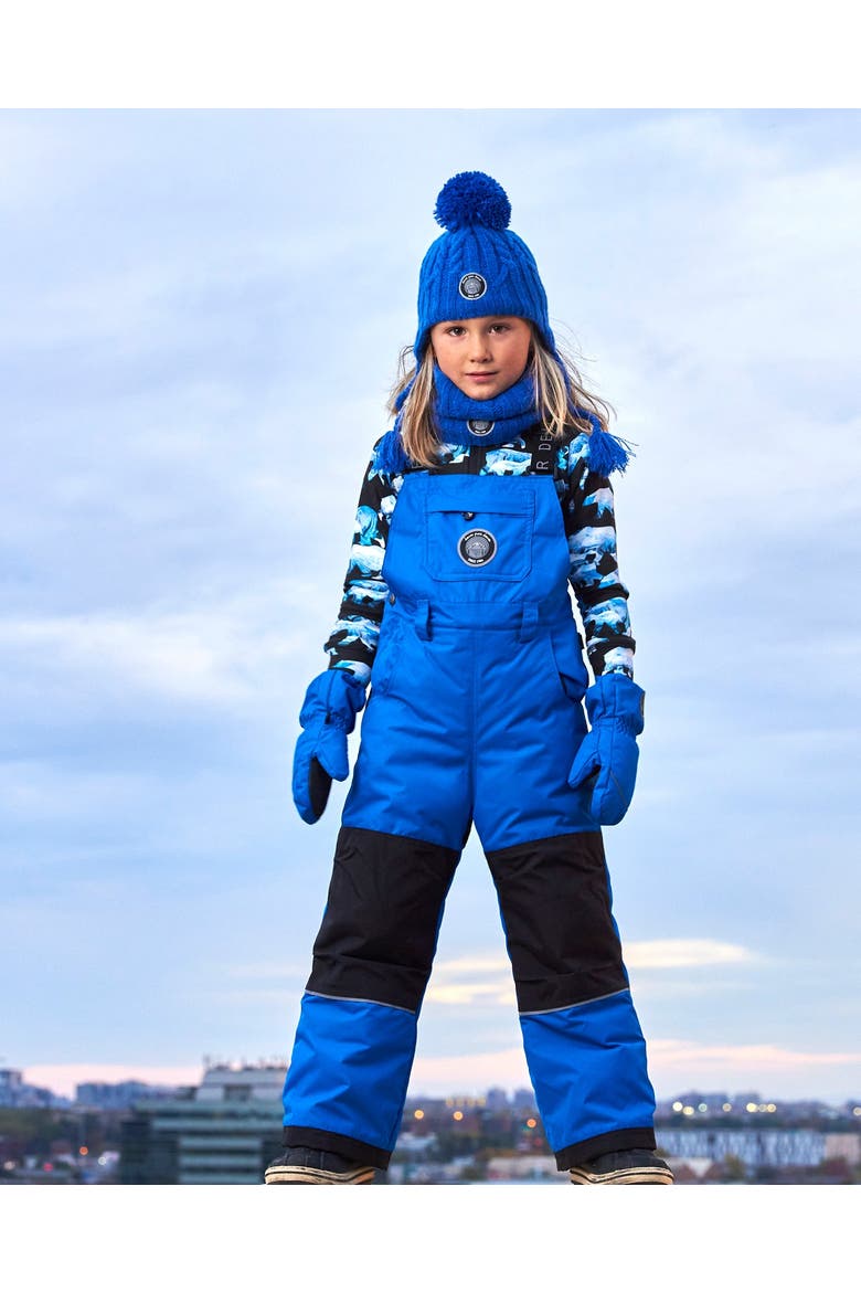 Boy's Overall Snow Pants Royal Blue, Alternate, color, Princess Blue