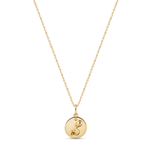 Electric Picks Beyond the Stars Zodiac Necklace in Gold- Aquarius  product