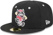 New Era Men's New Era Black Erie SeaWolves Theme Nights 59FIFTY Fitted Hat