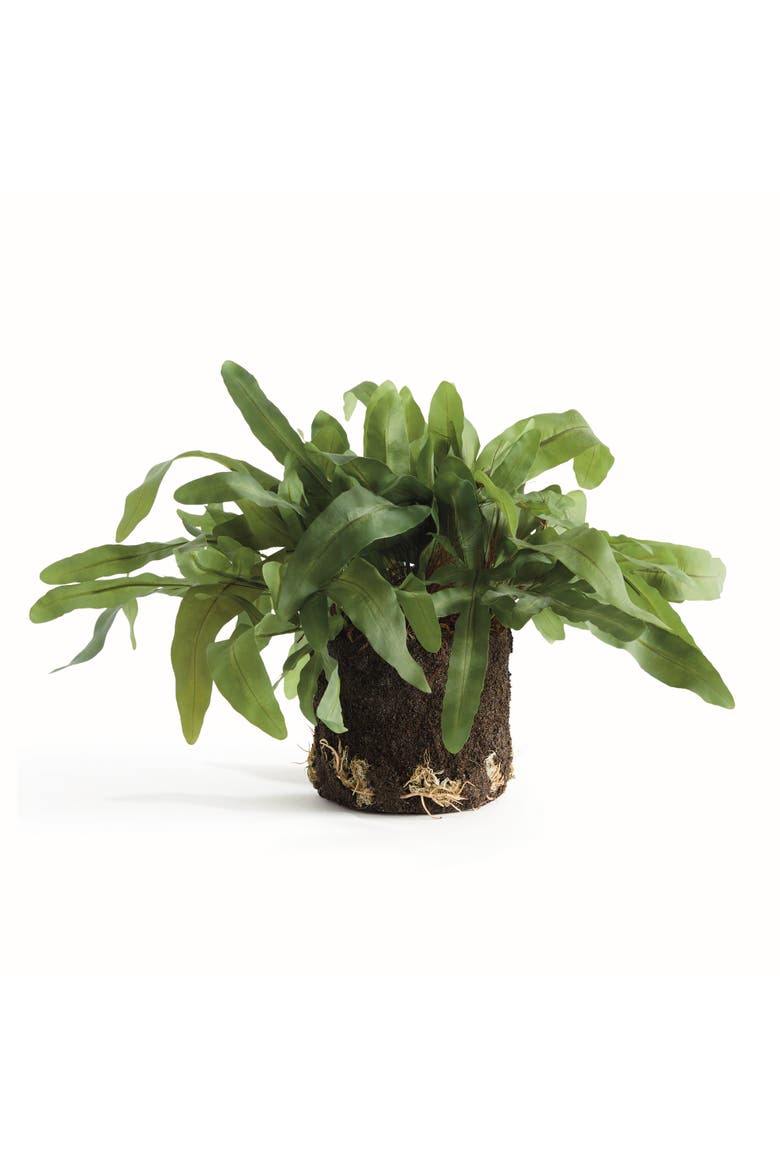 Echeveria Fern Artificial Plant Drop-In, Main, color, Green