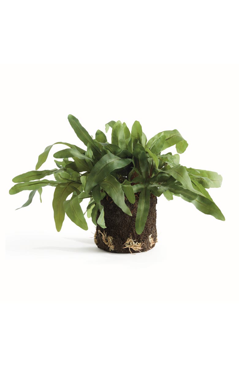 Napa Home & Garden Echeveria Fern Artificial Plant Drop-In, Main, color, 