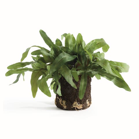 Echeveria Fern Artificial Plant Drop-In