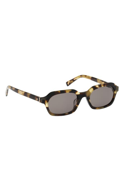 Abercrombie & Fitch 50mm Oval Sunglasses In Brown
