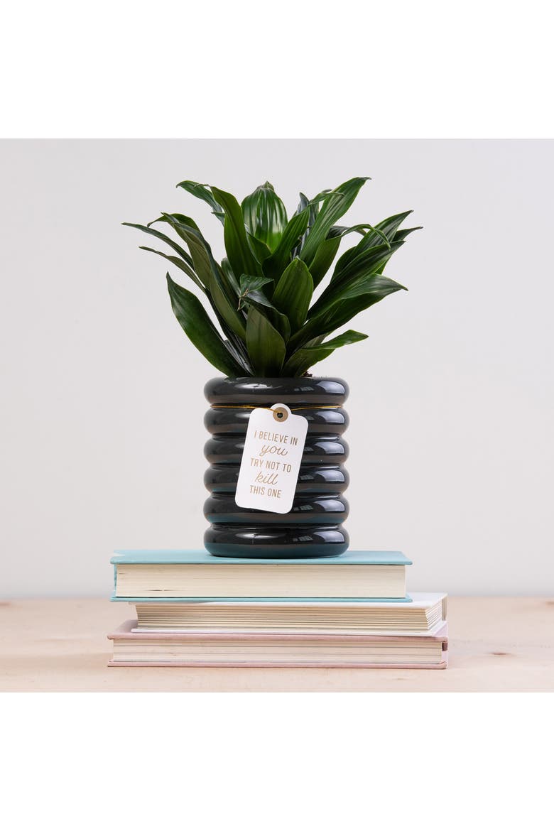 I Believe In You Blue Planter Ceramic Blue, Alternate, color, Blue