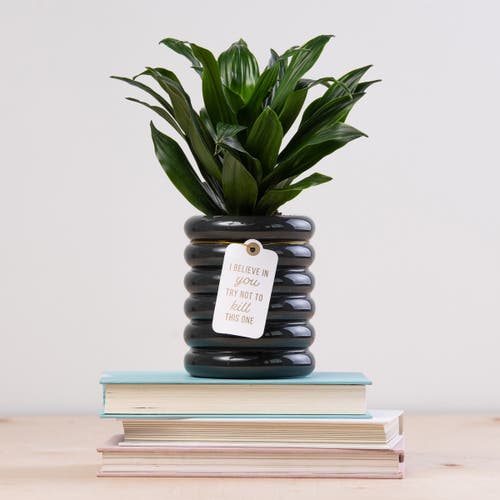 Totalee Gift I Believe In You Blue Planter Ceramic Blue In Blue