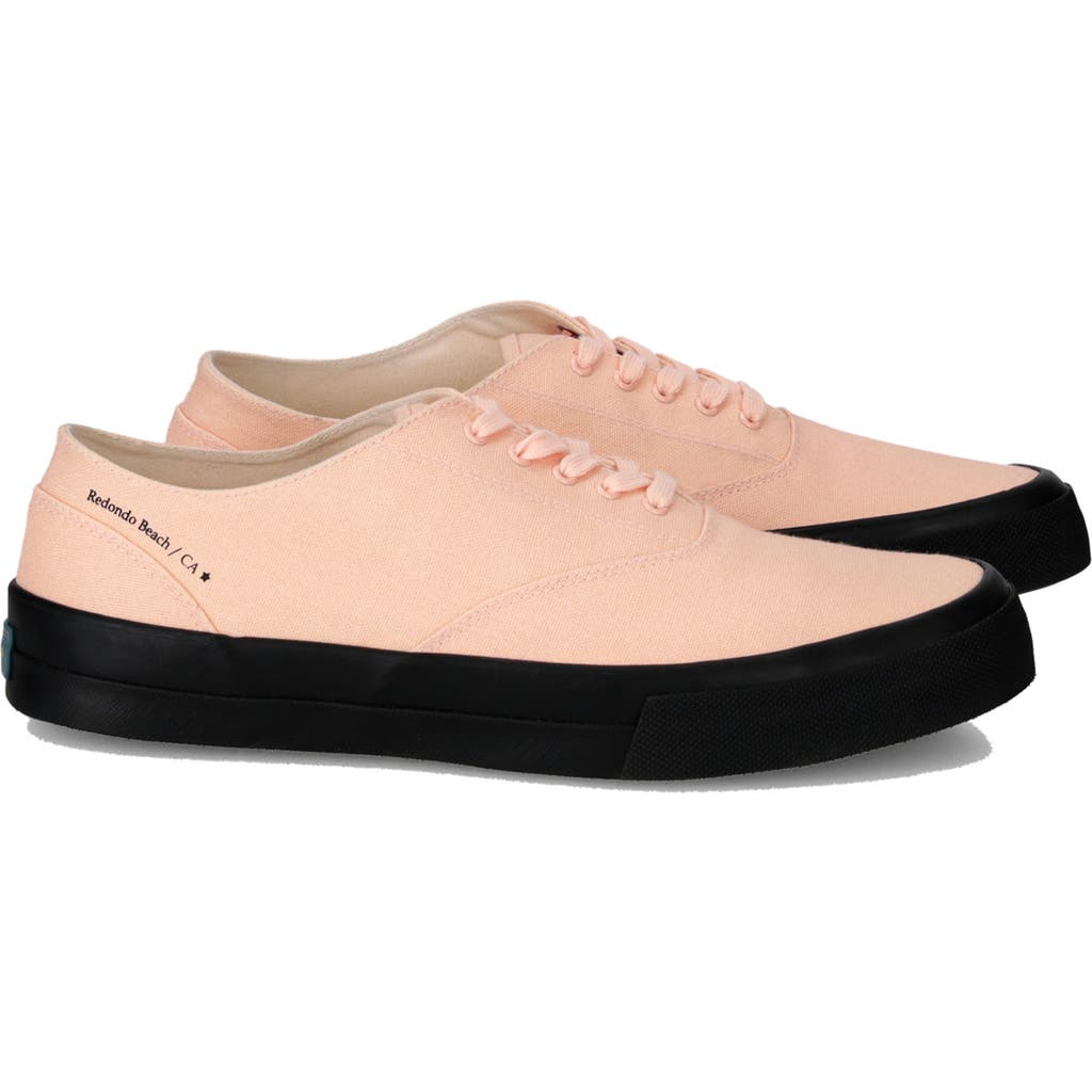 Fortela Redondo Canvas Sneakers By Mr. Fliks In Pink