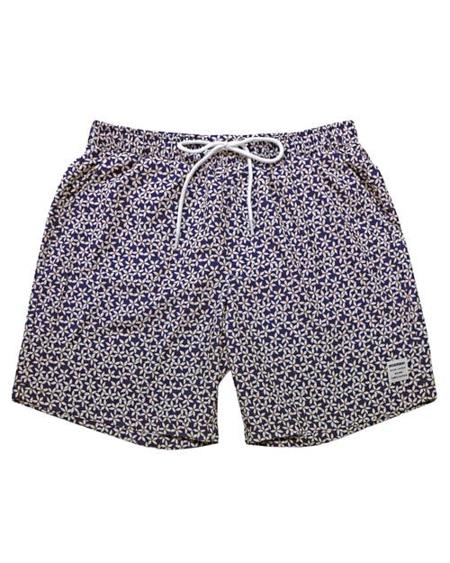 Mosmann Australia Board Shorts In Blue