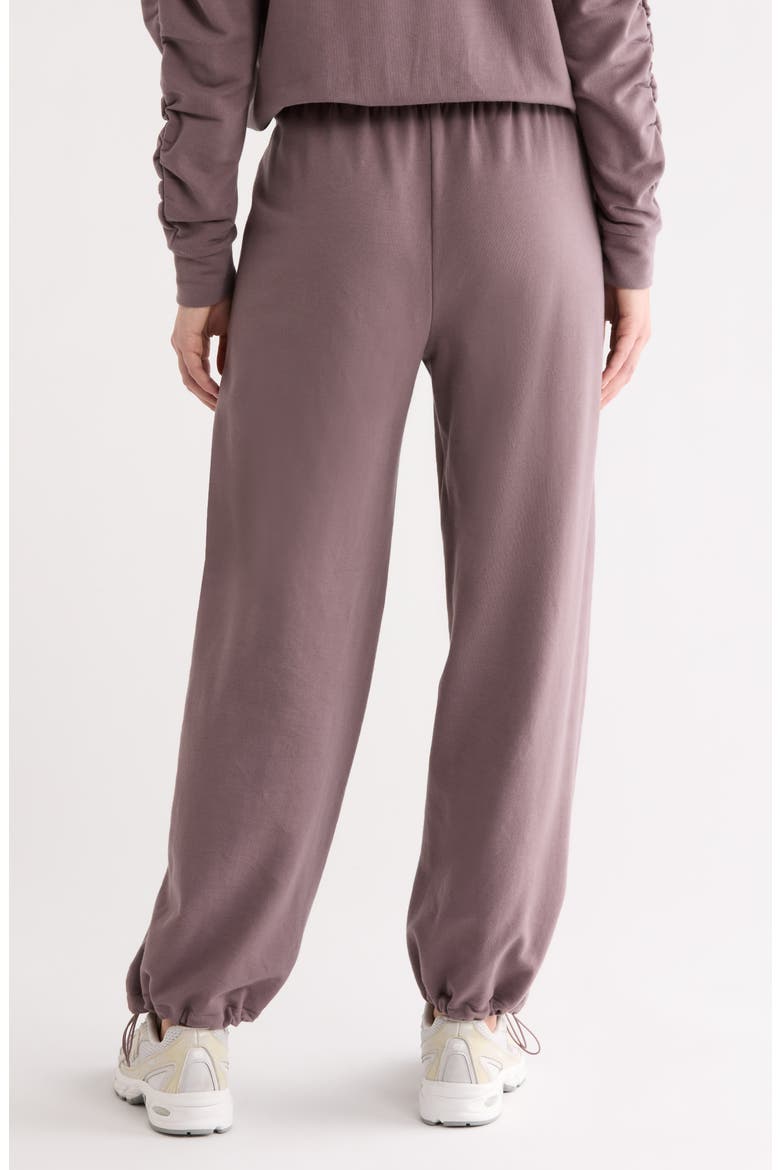 Cinch Cord Hem Sweatpants, Alternate, color, GREY PLUM