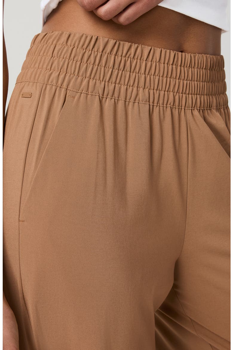 Villa Wide Leg Pants, Alternate, color, TOBACCO BROWN