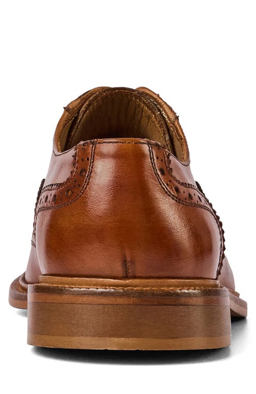 Bruno Magli Alfonso Wingtip Oxford In Brown