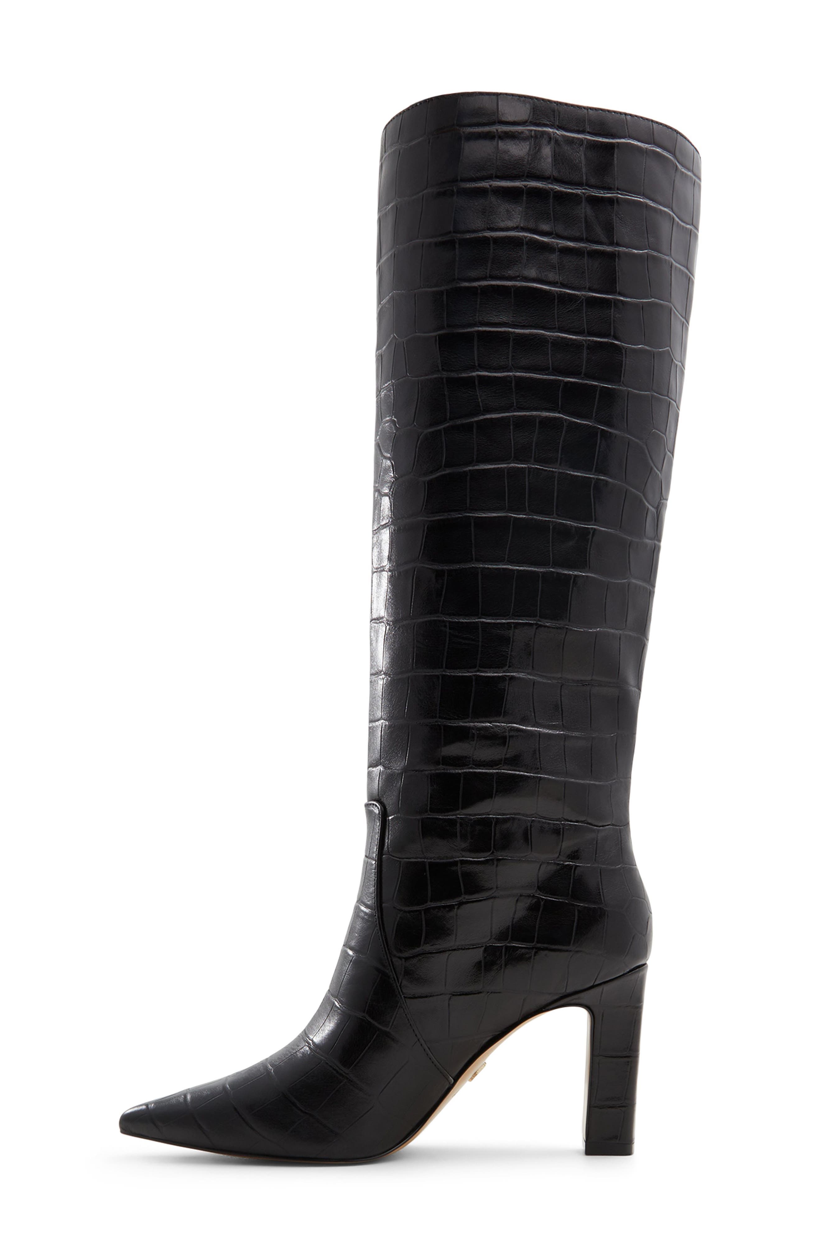 ALDO Cadigoder Pointed Toe Knee High Boot, Alternate, color, 