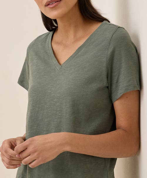 Pact Organic Cotton Featherweight Slub V-neck Tee In Castor Grey